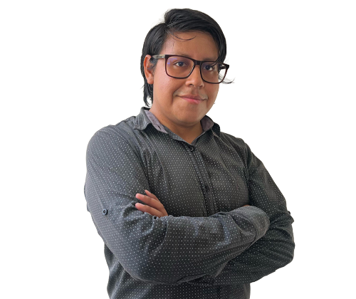 NOSOTROS 5 ROBERTO 1 Asesoría y consultoría en problemas energéticos
